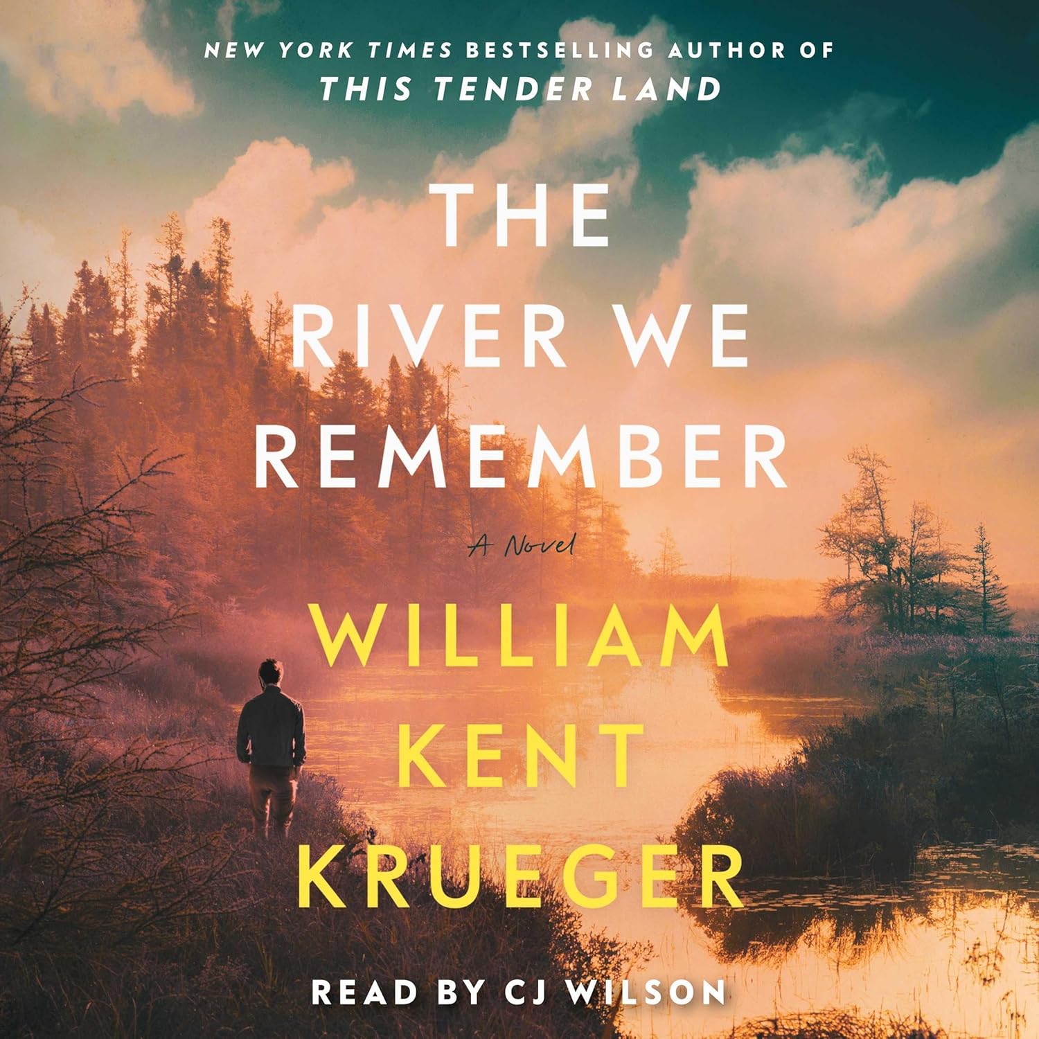 The River We Remember: A Novel — audiobook cover