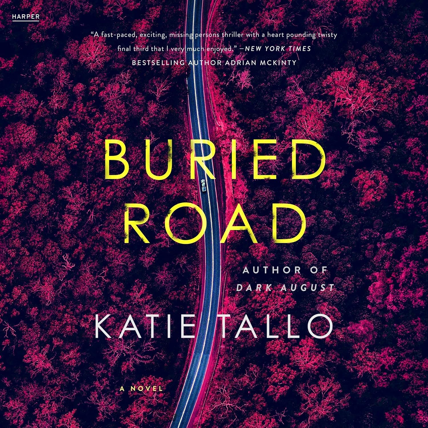 Buried Road: A Novel — audiobook cover