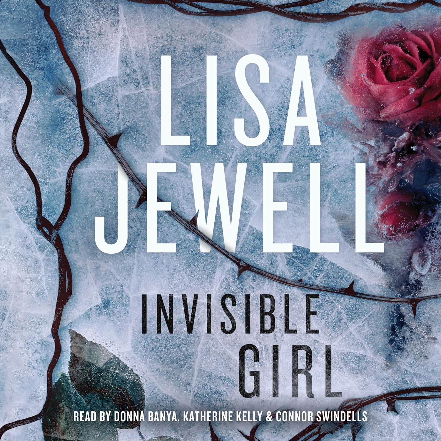 Invisible Girl: A Novel — audiobook cover